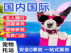 胶东空运地址国际宠物托运 【国